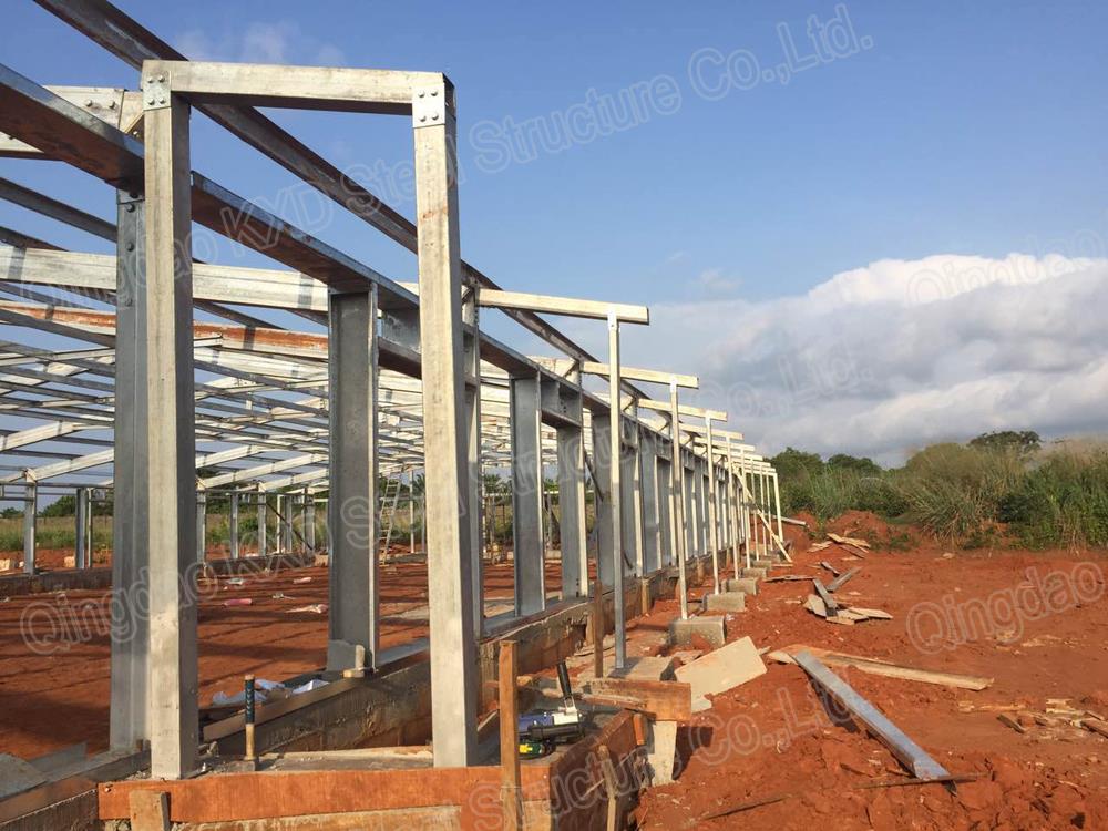 steel structure  chicken house in Nigeria (2)